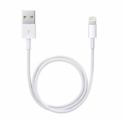 Apple Lightning / USB 0,5 m Λευκός [Άσπρος] 