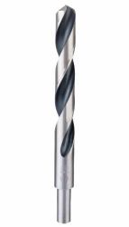 Bosch 2 608 577 312 τρυπάνι Μύτη περιστροφικού τρυπανιού 1 τεμάχια 