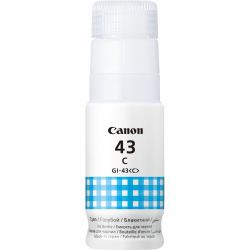 Canon GI-43C Πρωτότυπο 