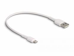 DeLOCK 87866 καλώδιο Lightning 0,3 m Λευκός [Άσπρος] 