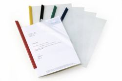 Durable 292619 προστατευτικό φύλλο 210 x 297 mm [A4] Πολυπροπυλένιο 10 τεμάχια 