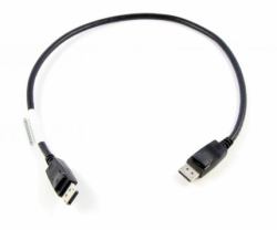 Lenovo 0.5m DisplayPort 0,5 m Μαύρος [Μαύρο] 