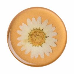 PopSockets Pressed Flower White Daisy 