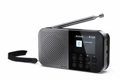Sharp DR-P520 Προσωπικός [Ατομικός] Ψηφιακός Γκρι 