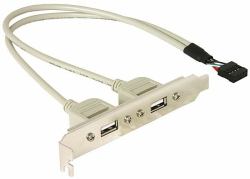 DeLOCK Slotbracket 1x internal USB 5pin > 2x USB2.0 external (DeLOCK USB-panel - 30 cm)