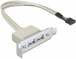 DeLOCK 0.5m Slotblech USB 2.0 (Delock Slot bracket - USB-kabel - USB)