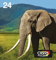 Epson 24 Elephant Claria Photo HD Multipack 6-colours EasyMail Ink (EPSON 24 6-COLOUR INK EASYMAIL, ELEPHANT)