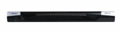 Raritan DSX2-32 console server RJ-45 (DSX2-32)
