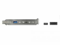 DeLOCK 89934 Εσωτερικό Καλώδιο USB (Delock Slot bracket - USB-panel - 50 c)