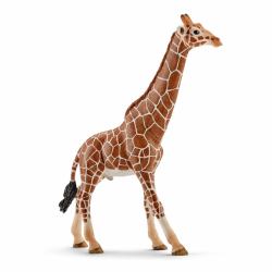 schleich WILD LIFE 14749 παιδική φιγούρα παιχνιδιού (Schleich Wild Life 14749, Brun, 3 Ã?r,)