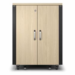 APC AR4017IA ράφι για εξυπηρετητές 17U Ελεύθερο ράφι Χρώμα σφενδάμου, Μαύρος [Μαύρο] (SOUNDPROOF 17U RACK 230V MAPLE)