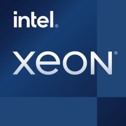 Intel Xeon E-2436 processor 2.9 GHz 18 MB Tray (INTEL CPU XEON E-2436 2.9GHz 6C 18MB)