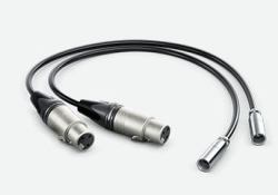 Blackmagic Design HYPERD/AXLRMINI2 καλώδιο ήχου 0,495 m mini XLR [3-pin] XLR [3-pin] �...
