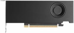 Nvidia RTX PRO 2000 Blackwell 16 GB GDDR7 (Nvidia 16GB RTX Pro 2000 Blackwell 4x mDP LP Smallbox Retail [without Adapter])