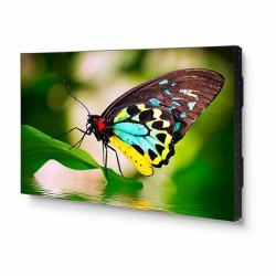Sharp UN552 επιτοίχια οθόνης προβολής βίντεο LED (NEC UN552 55' Monitor Black)