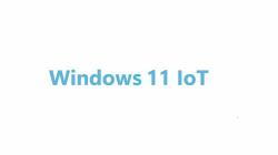 Advantech Win 11 IoT Ent Εμπορικός 1 άδεια[ες] Electronic Software Download [ESD]...
