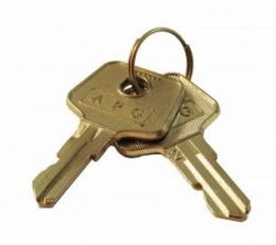 apg Solutions VPK-8K-243 κλειδοθήκη Μεταλλικός (VASARIO KEY PARTS KIT [2] KEYS - [DENOTES KEY NUMBER 243])