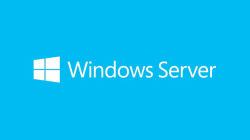 Microsoft Windows Server Open Value License [OVL] 16 άδεια[ες] 